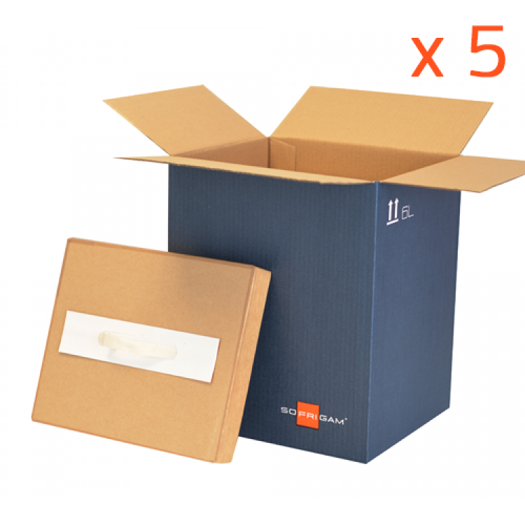 Lot 5 BOX 6L - Isotherme 
